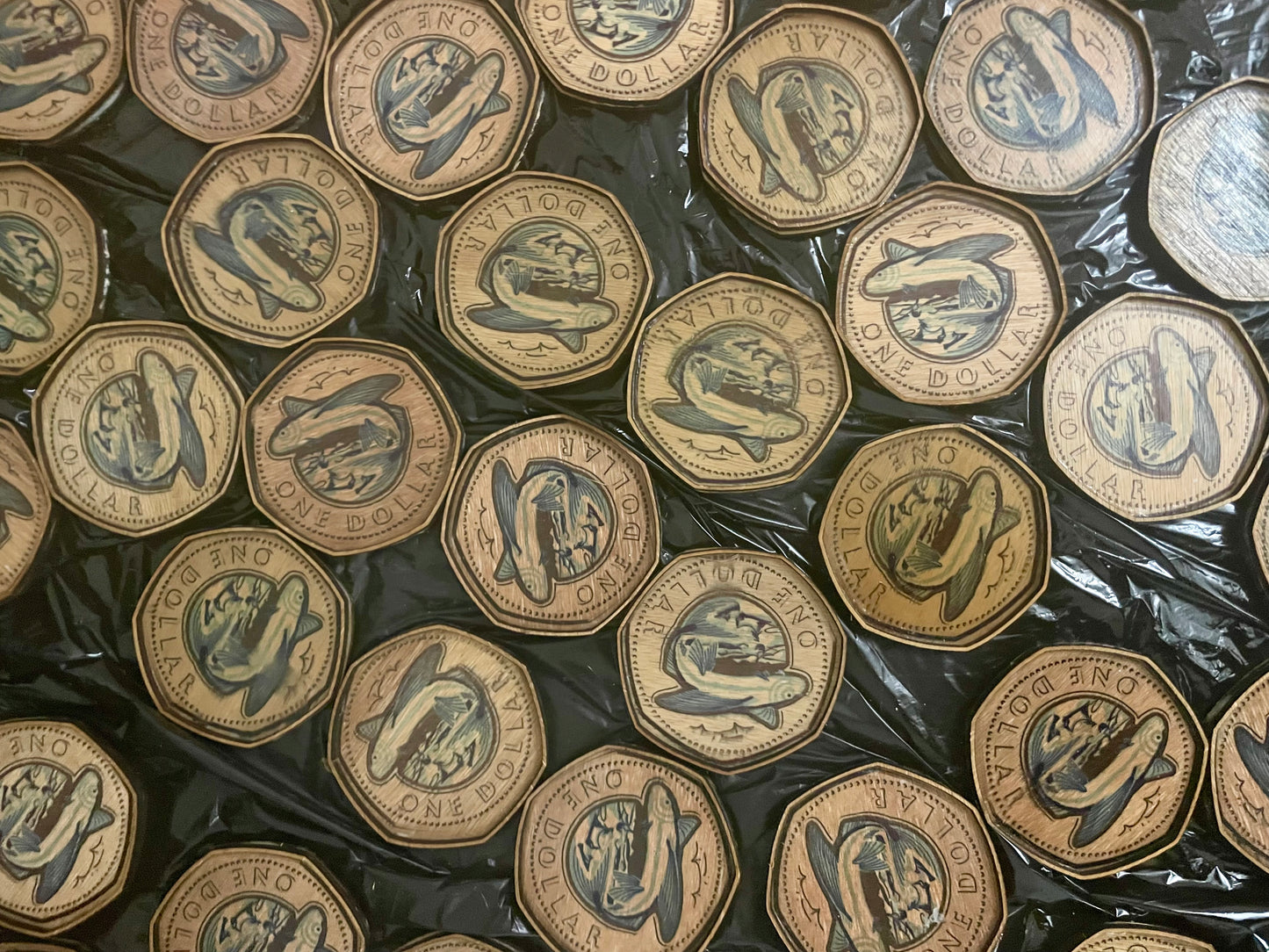 Wooden Barbados Dollar Coaster Sets